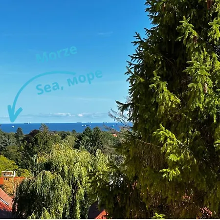 ホームステイ Deer - 5 Minutes To Molo & Seaside ソポト