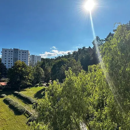 Deer - 5 Minutes To Molo & Seaside ソポト